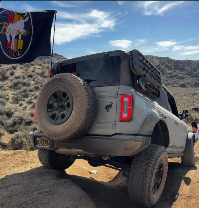 Ride Out of the Darkness 12inx18in Car Flag w/ Pole - Double-sided (Olive & Red 22 a Day) - LSY