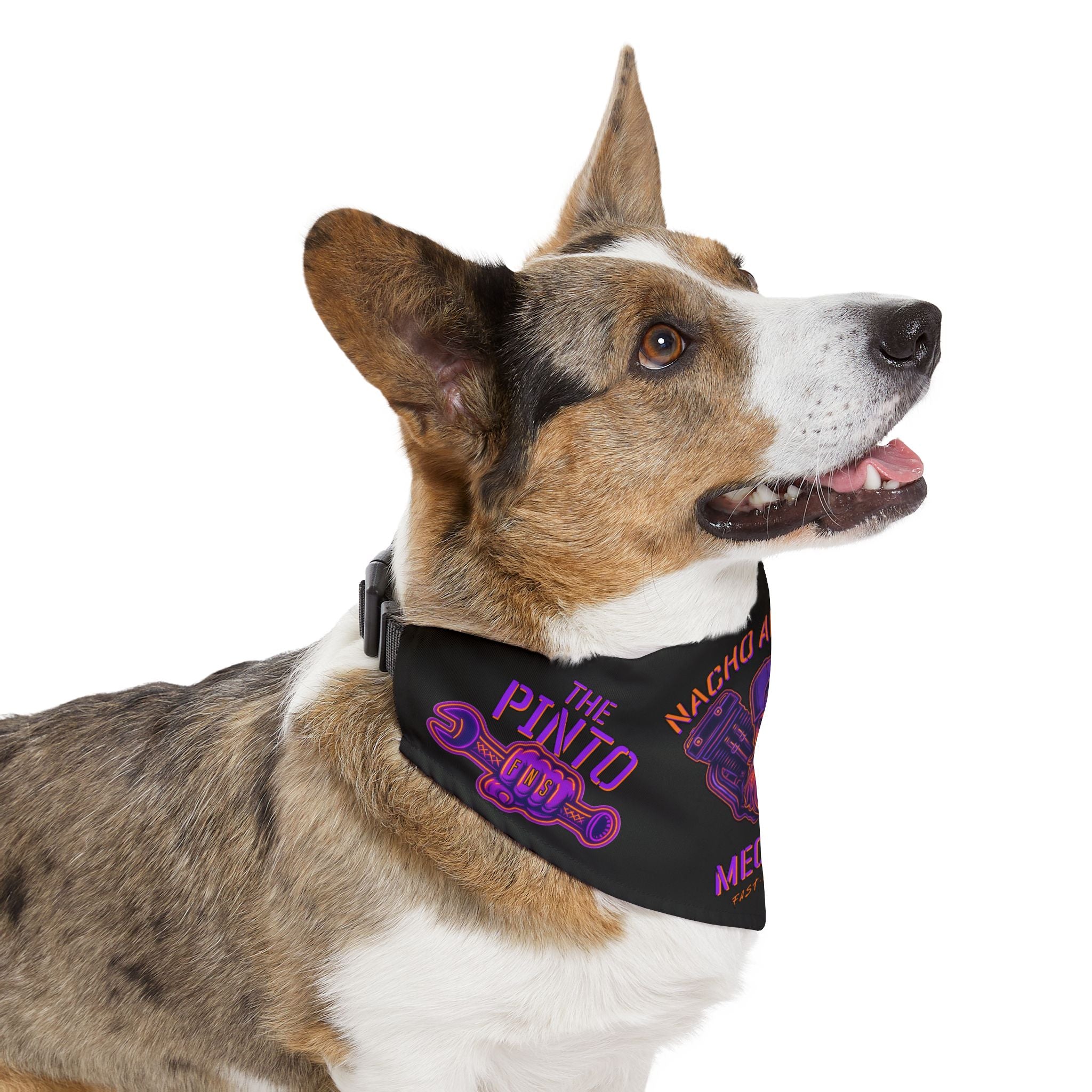 The Pinto: Nacho Average Mechanic Pet Bandana Collar