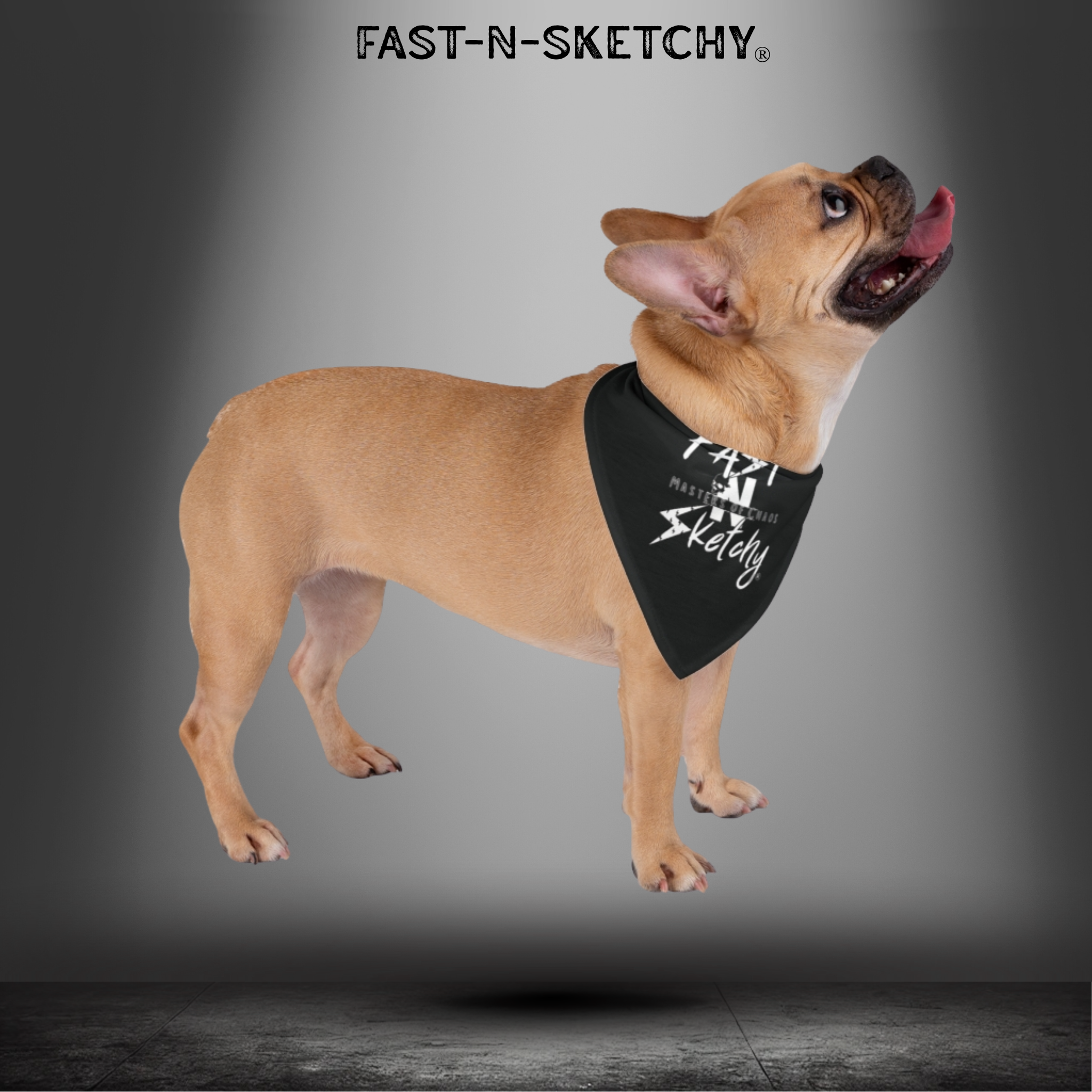 FAST-N-SKETCHY® Pet Bandana – Stylish Dog Accessory for Trendy Pets