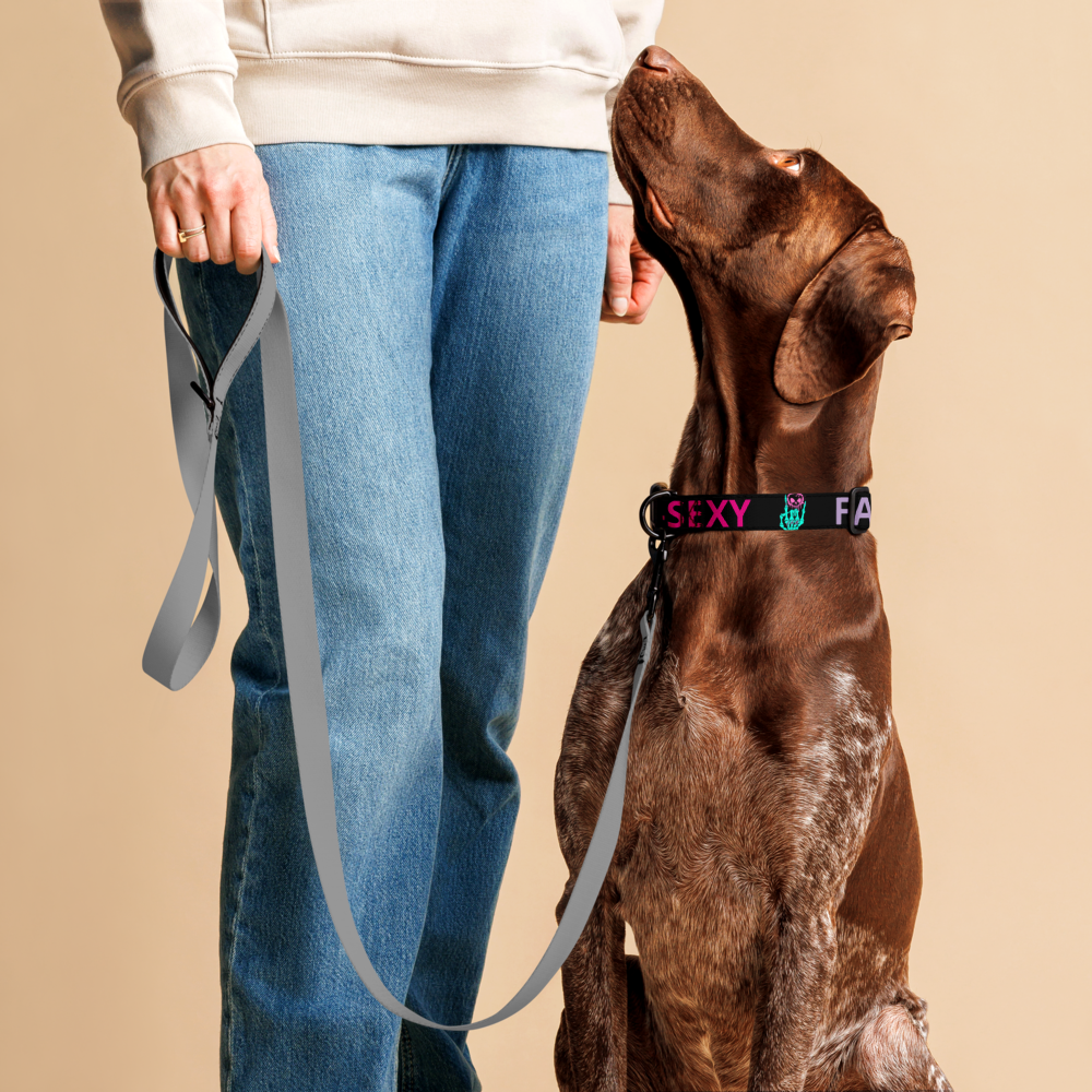 FAST-N-SKETCHY® & FAST-N-SEXY™ Pet collar