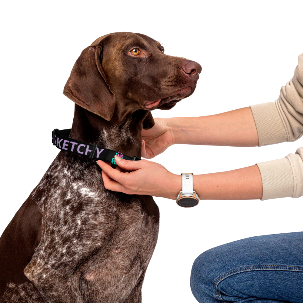 FAST-N-SKETCHY® & FAST-N-SEXY™ Pet collar