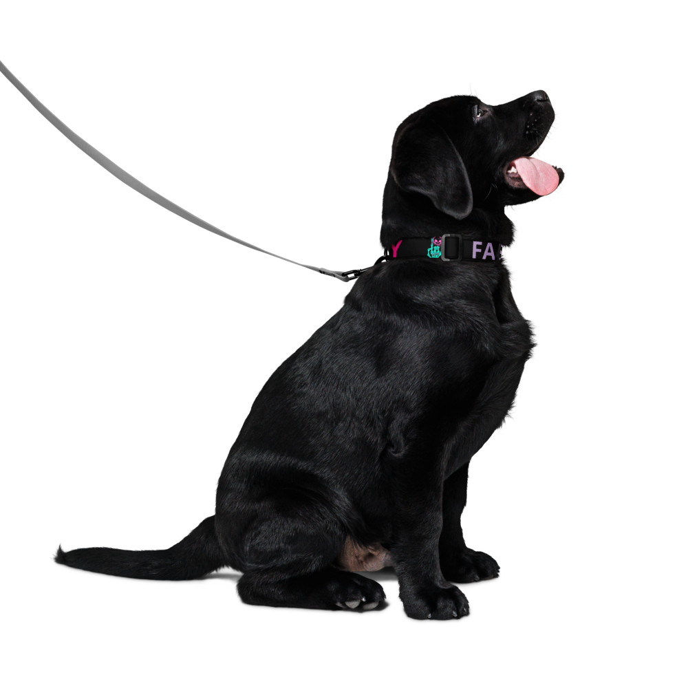 FAST-N-SKETCHY® & FAST-N-SEXY™ Pet collar