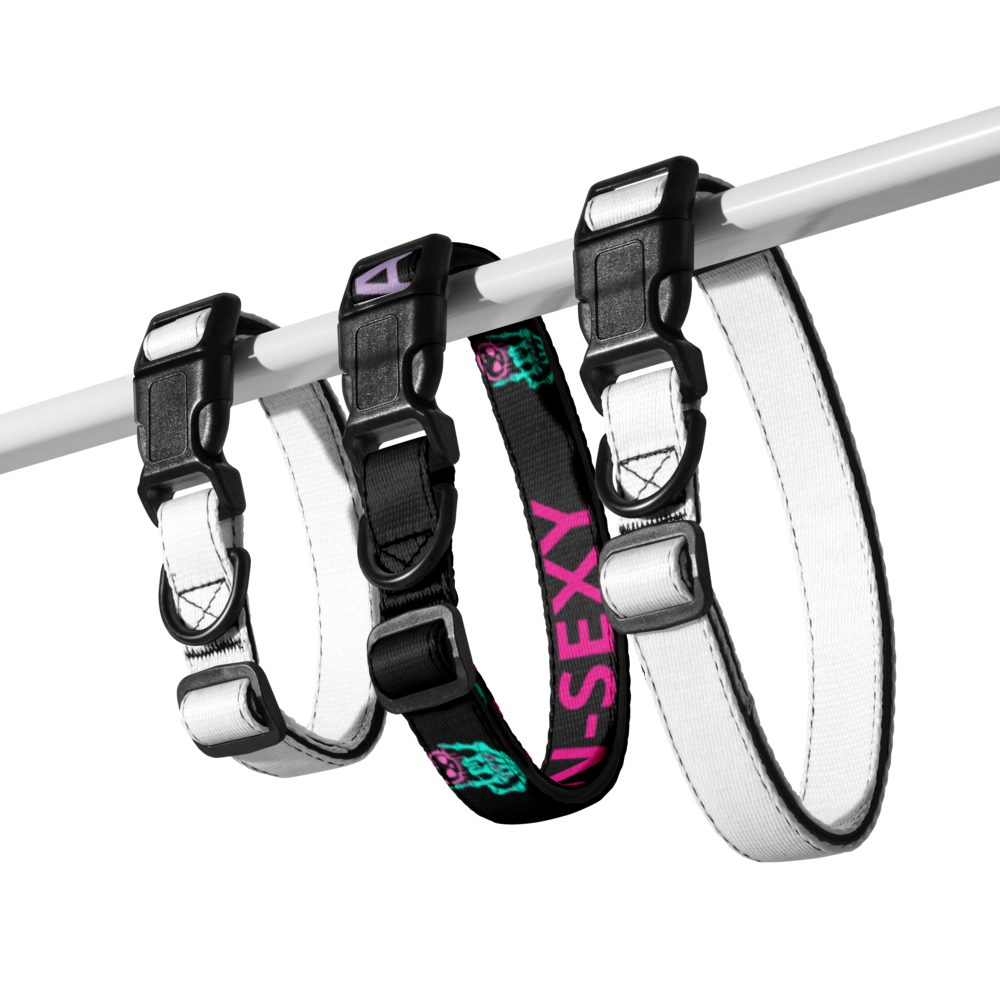 FAST-N-SKETCHY® & FAST-N-SEXY™ Pet collar