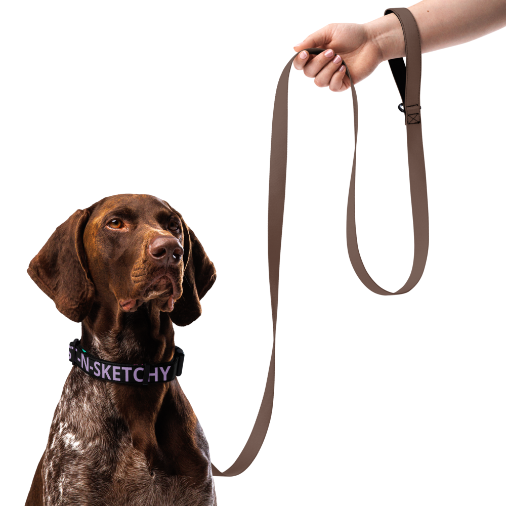 FAST-N-SKETCHY® & FAST-N-SEXY™ Pet collar